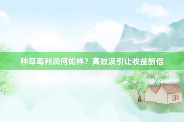 种草莓利润何如样？高效汲引让收益翻倍